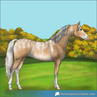 Horse Color:Powder White Silver Buckskin Rabicano 