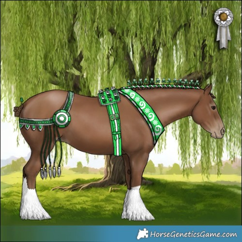 Horse Color:Gray Black Pearl