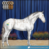 Horse Color:Bay Dun Mushroom Sabino Appaloosa 