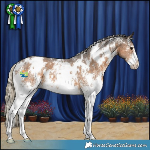 Horse Color:White Spotted Chocolate Palomino Sabino 