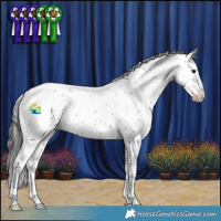 Horse Color:Black Sabino Varnish 