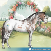Horse Color:White Spotted Brown Mushroom Sabino Appaloosa 