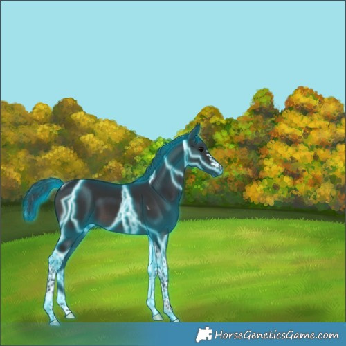 Horse Color:Thunderstruck Brown Tobiano 