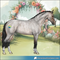 Horse Color:Brown Roan Dun 