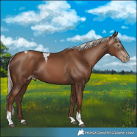 Horse Color:Gray Silver Black Pearl Tobiano 