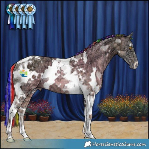Horse Color:Painted Plaid  White Spotted Amber Cream Champagne Ice Onyx Tobiano 