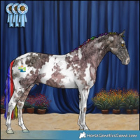 Horse Color:Painted Plaid  White Spotted Amber Cream Champagne Ice Onyx Tobiano 
