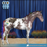 Horse Color:Painted Plaid  White Spotted Amber Cream Champagne Ice Onyx Tobiano 