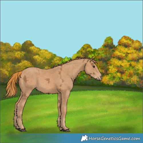 Horse Color:Chestnut Ice 