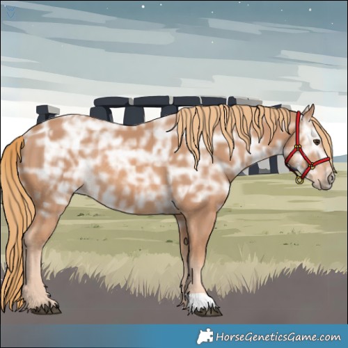 Horse Color:Chestnut Ice Rabicano 