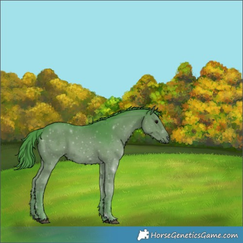 Horse Color:Watercolor Black 