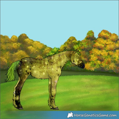 Horse Color:ERROR: UNKNOWN ANOMALY