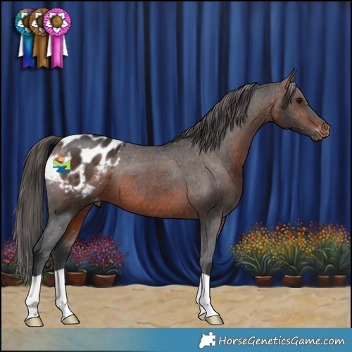 Horse Color:Brown Varnish 