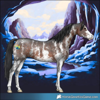 Horse Color:Brown Sabino 