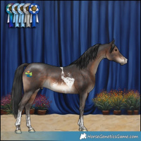 Horse Color:Brown Sabino Tobiano 
