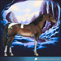 Horse Color:Brown Tobiano 