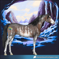 Horse Color:Brown Sabino 