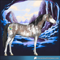 Horse Color:Brown Sabino 