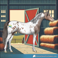 Horse Color:Liver Chestnut Tobiano Appaloosa 