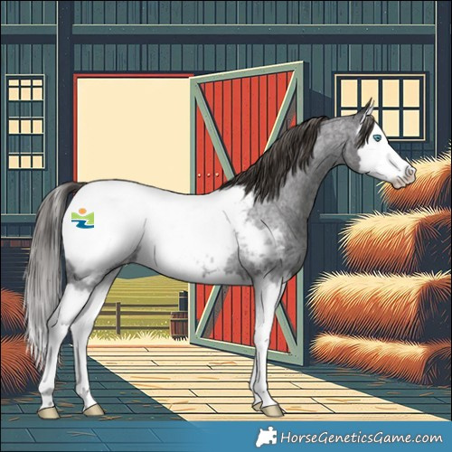 Horse Color:Smoky Blue Roan Splash Appaloosa Rabicano 