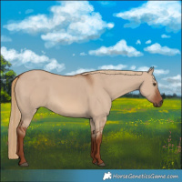 Horse Color:Red Dun 