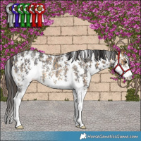 Horse Color:Buckskin Sabino Rabicano  and Smoky Black Sabino Rabicano 