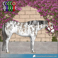 Horse Color:Buckskin Sabino Rabicano and Smoky Black Sabino Rabicano