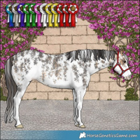Horse Color:Buckskin Sabino Rabicano  and Smoky Black Sabino Rabicano 