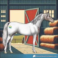 Horse Color:Silver Black Tobiano Appaloosa 