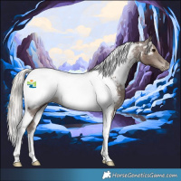 Horse Color:Silver Black Tobiano Appaloosa 