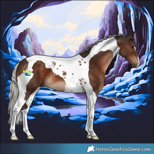 Horse Color:Silver Brown Tobiano 