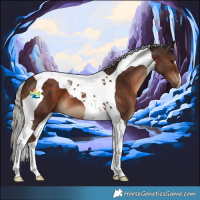 Horse Color:Silver Brown Tobiano 