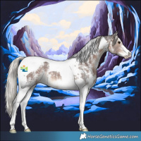 Horse Color:Silver Brown Sabino Tobiano 