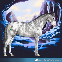 Horse Color:Black Mushroom Sabino Appaloosa 