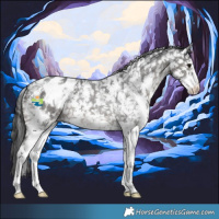 Horse Color:Black Mushroom Sabino Blanket 