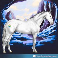 Horse Color:Liver Chestnut Mushroom Sabino 