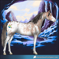 Horse Color:Bay Sabino Snowflake Varnish 