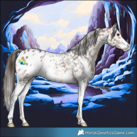 Horse Color:Bay Sabino Snowflake Varnish 
