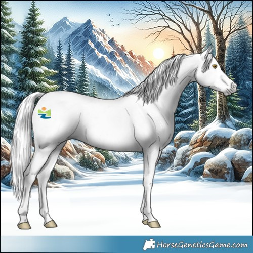 Horse Color:Gray Silver Buckskin Splash Tobiano Appaloosa 