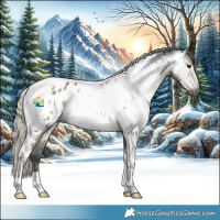 Horse Color:Gray Silver Smoky Black Tobiano Appaloosa 