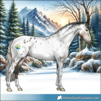 Horse Color:Gray Silver Smoky Black Tobiano Appaloosa 