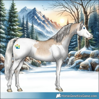 Horse Color:Gray Silver Smoky Creme Splash Appaloosa 