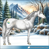 Horse Color:Gray Silver Buckskin Splash Tobiano 