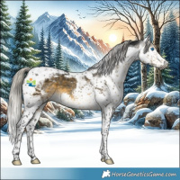 Horse Color:Gray Silver Buckskin Splash Tobiano 