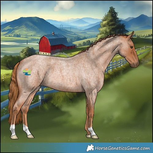 Horse Color:Red Roan 