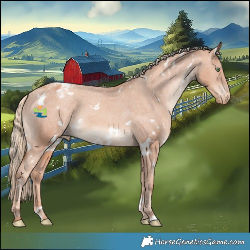 Horse Color:White Spotted Gold Champagne Blanket 
