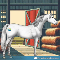 Horse Color:Gray Silver Black Splash Tobiano Appaloosa 