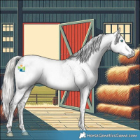 Horse Color:Gray Silver Smoky Black Splash Tobiano Appaloosa 