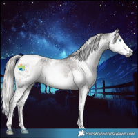 Horse Color:Gray Silver Black Splash Tobiano Varnish 