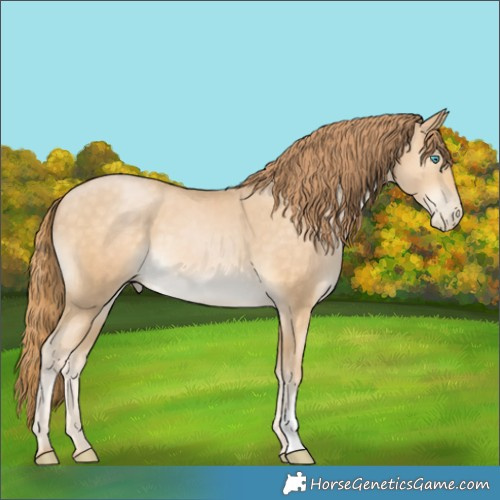 Horse Color:Buckskin Pearl 
